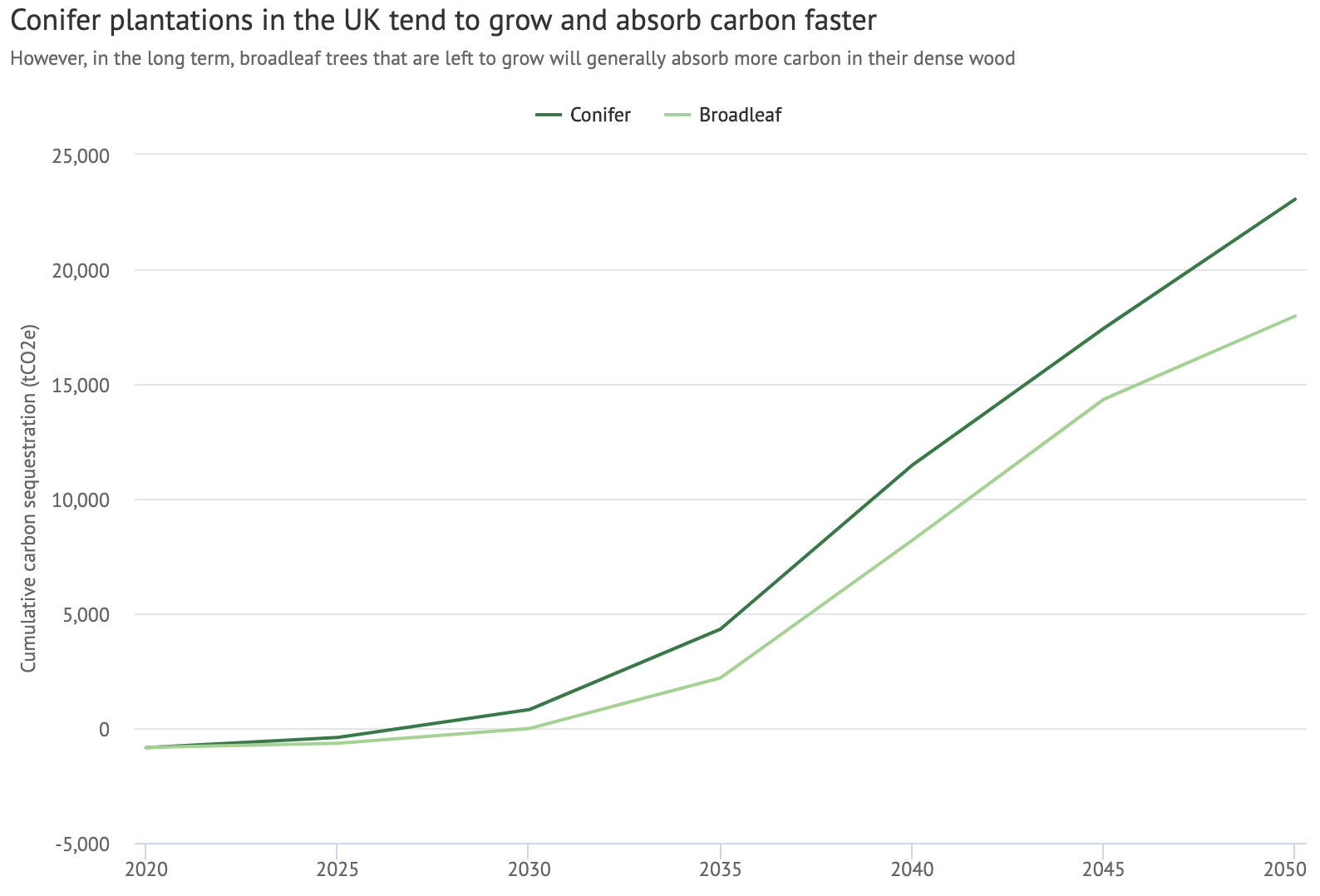 Carbon sequestration up until the 2050 net-zero deadline in a conifer (dark) and broadleaf (light) stand of trees. This chart is based on 50-hectare plantations, one made up of conifers planted to the UK Forestry Standard (75% sitka spruce at yield class 20, 10% Douglas fir and Scots pine, 5% native broadleaves, 10% open space), and one a native broadleaf scheme with yield class 6 (90% broadleaves, 10% open space). Both assume no thinning or felling has taken place.