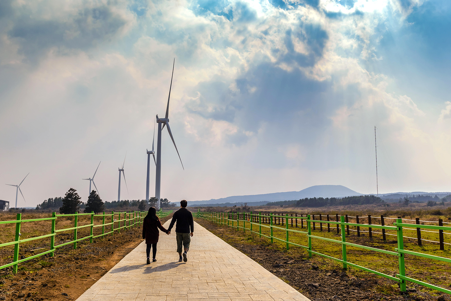 A wind farm on Jeju Island, South Korea. Credit: Noppasin Wongchum / Alamy Stock Photo. HX0BP5