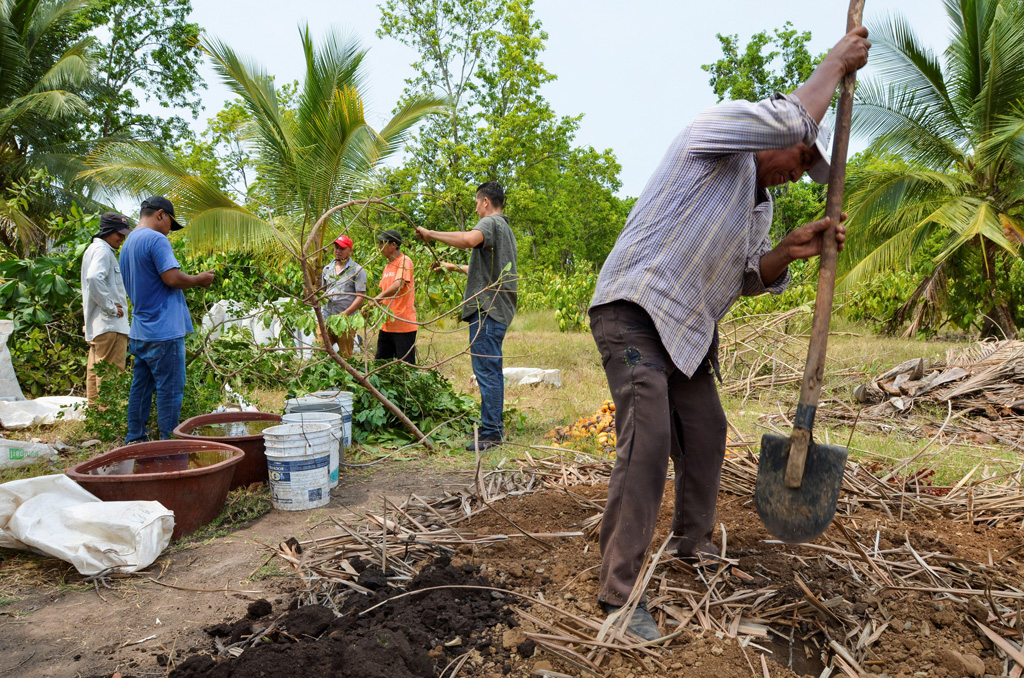 Central American migrants create fertiliser for plants as part of the Sembrando Vida program