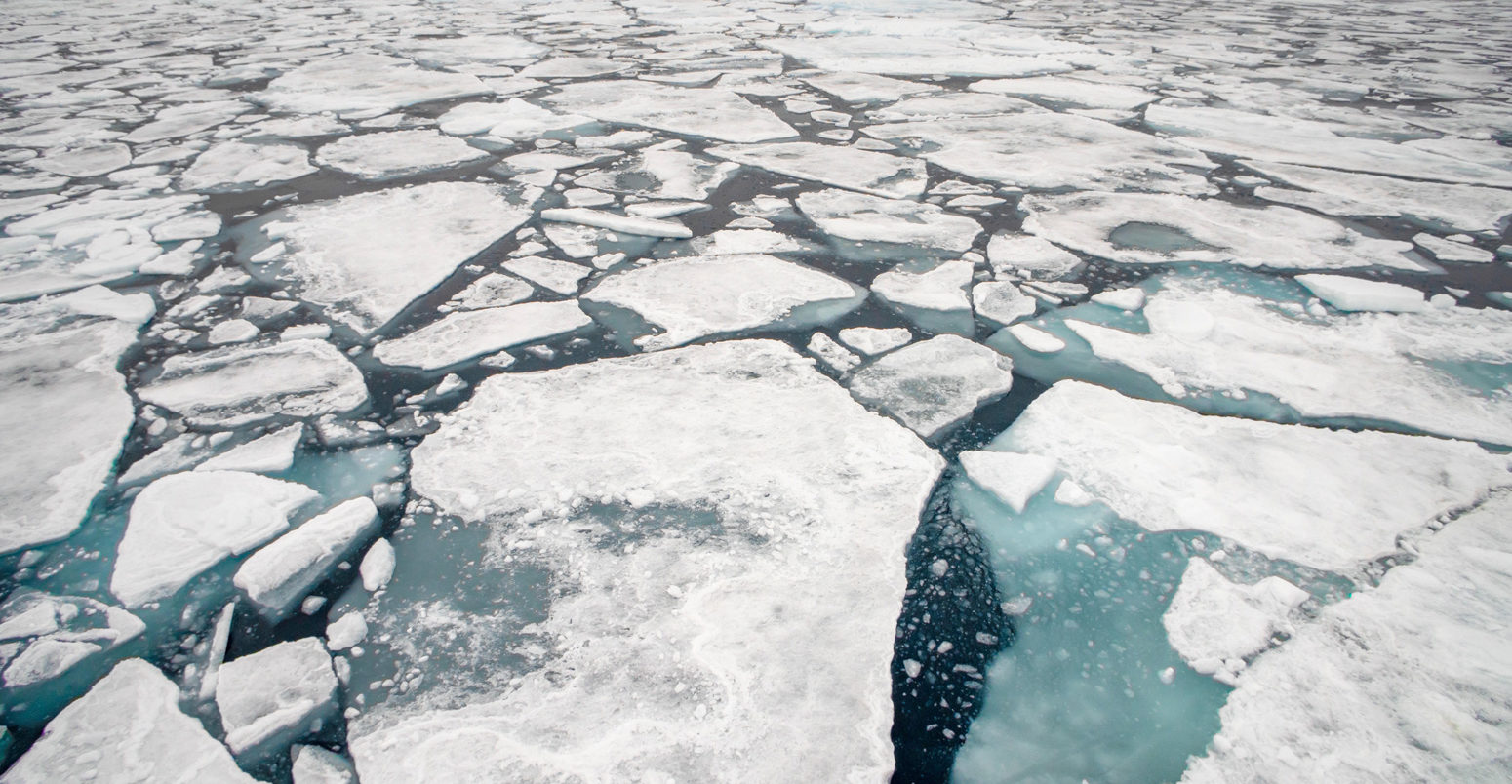 Arctic sea ice floe in Svalbard
