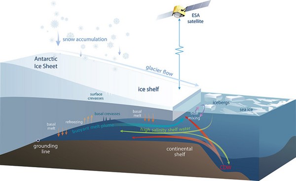 Ice Shelf Diagram