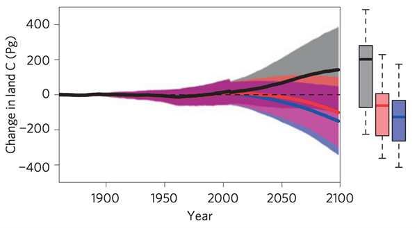 Change in land carbon storage projections from CMIP5 models