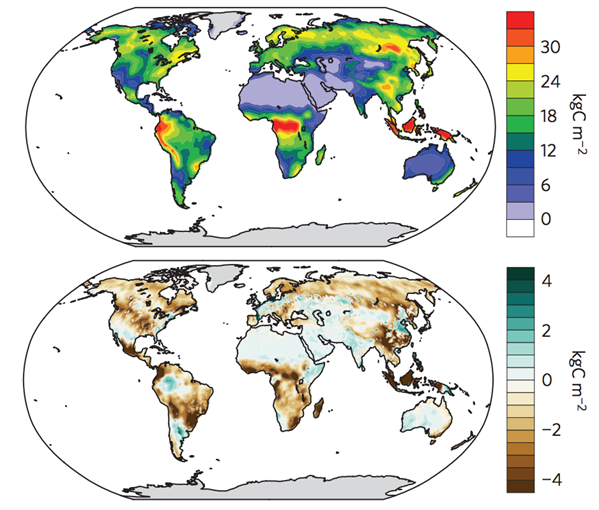 Maps of carbon storage on land