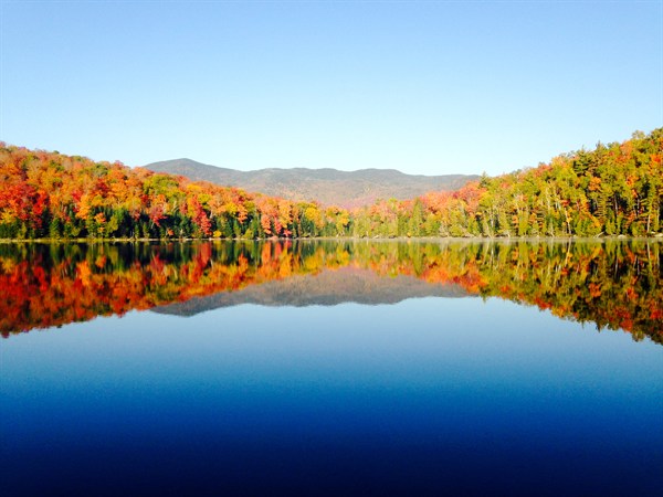 Autumnal trees surrounding a lake