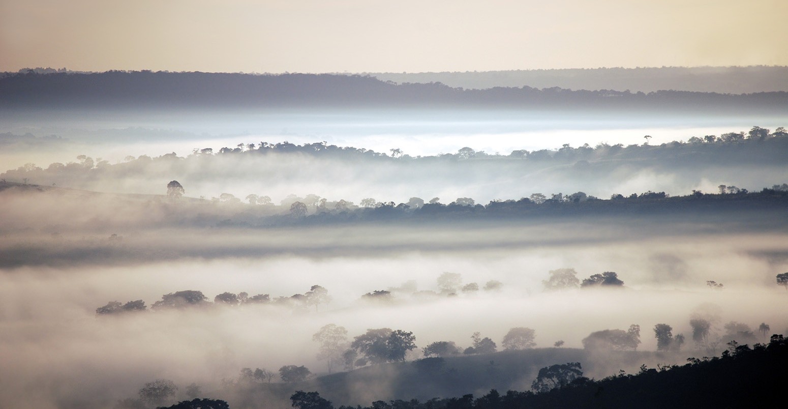 Early morning mist over the Amazon rainforest.