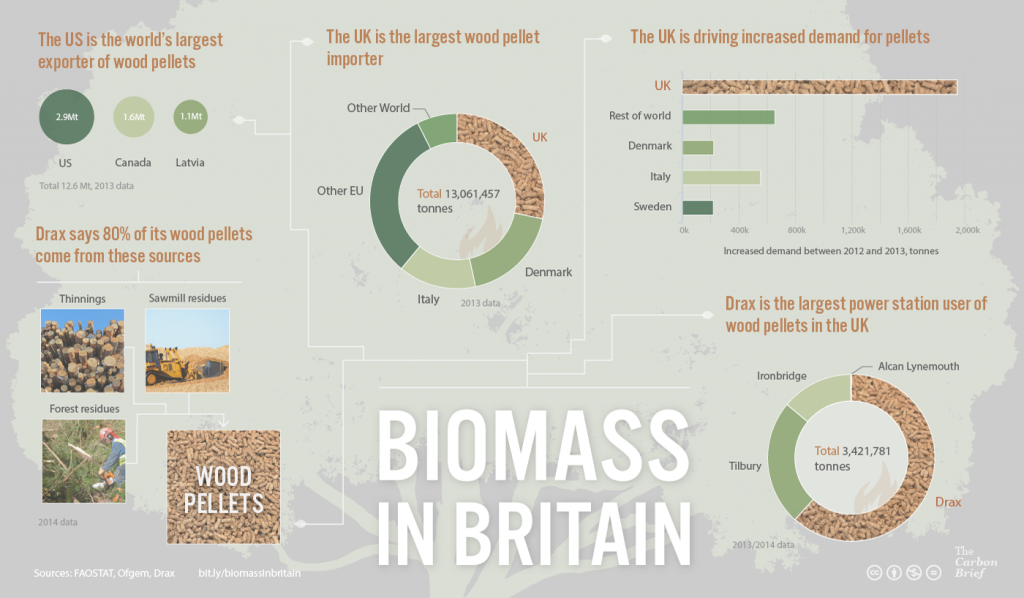 Infographic: Biomass in Britain