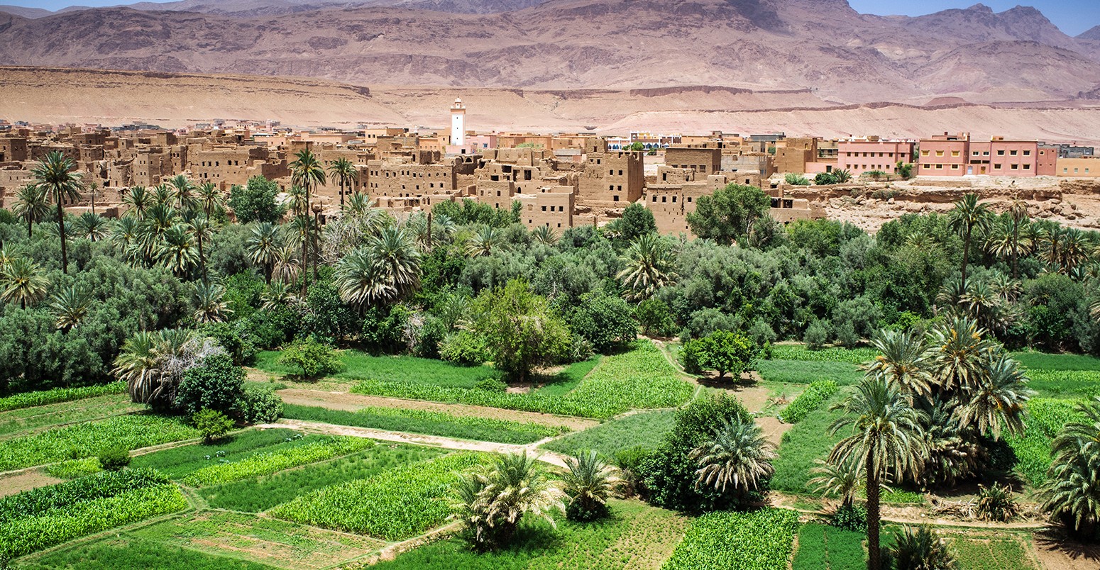 Oasis in the Dade valley, Morocco