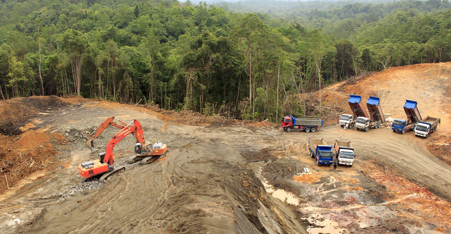 Deforestation of the rainforest in Borneo