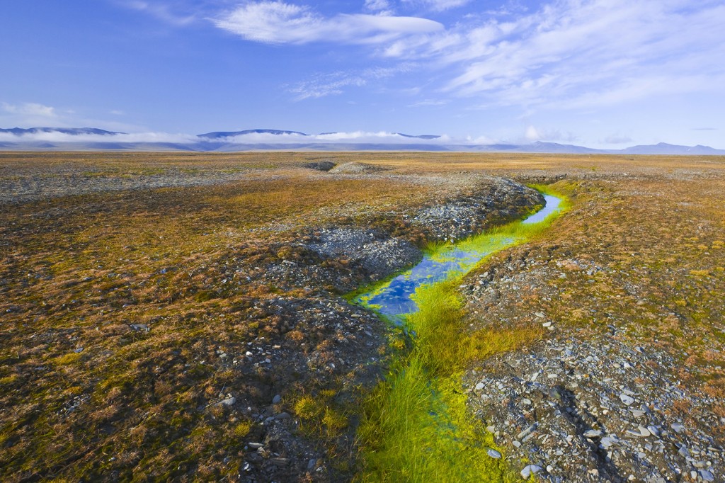Thawing permafrost on the tundra of Wrangel Island