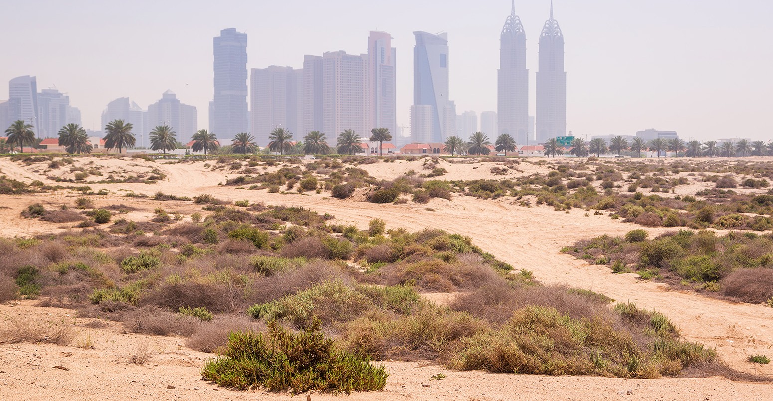 Sandy scenery od Dubai at the Jumeirah Beach, UAE.