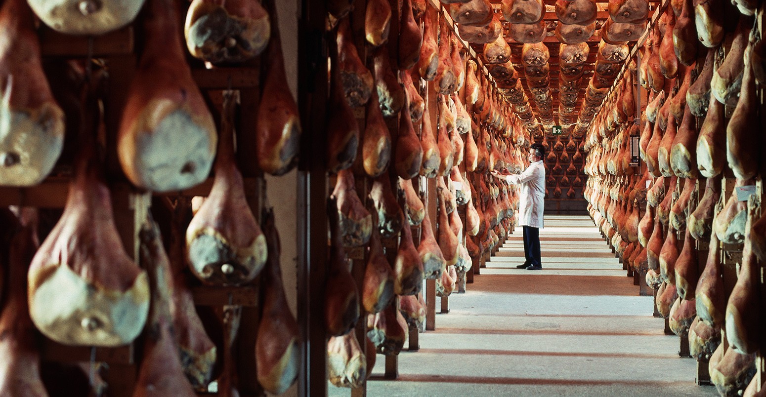 A worker stands among hundreds of hams curing in a storage room to become prosciutti at the San Daniele factory