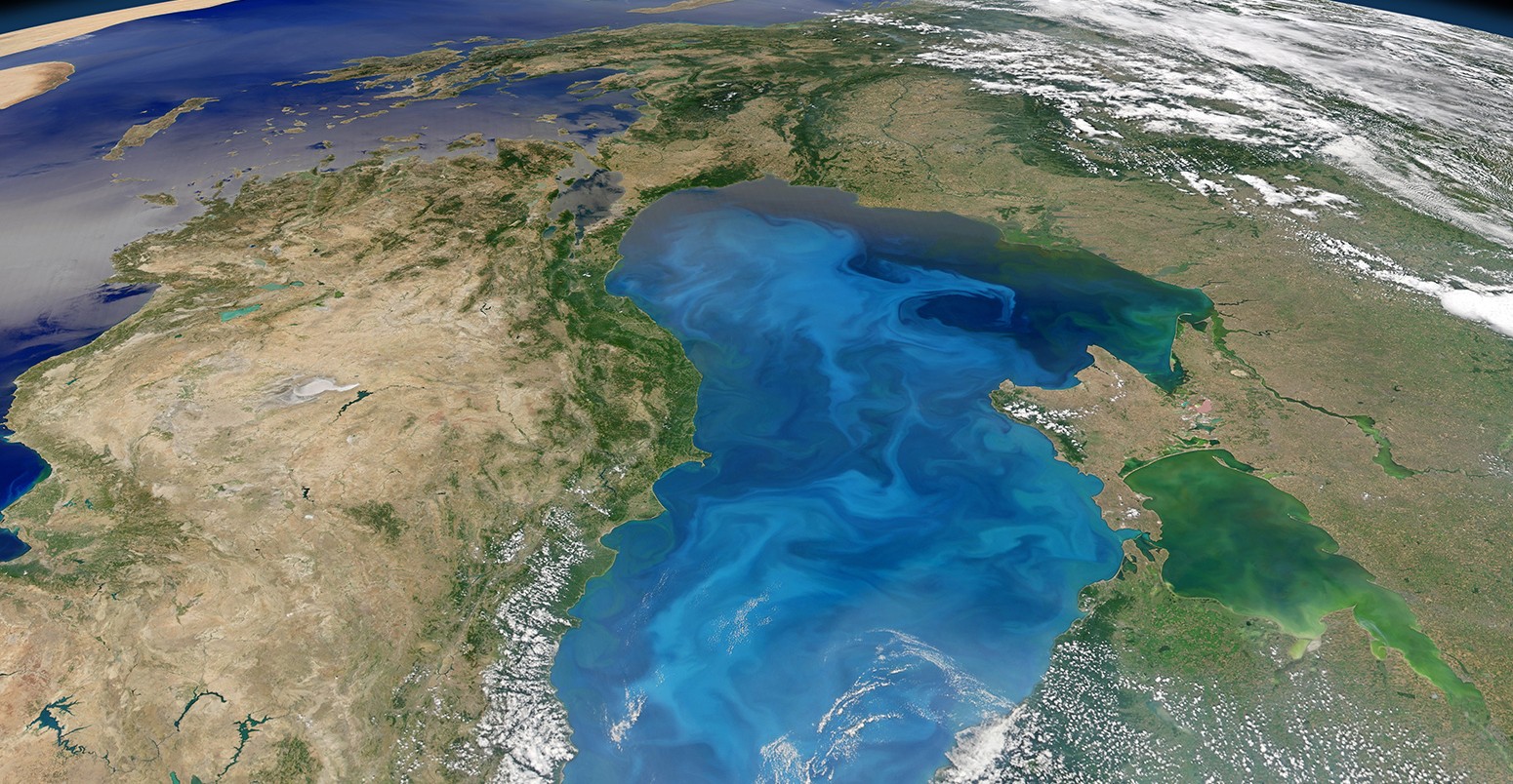Algae Bloom in the Black Sea
