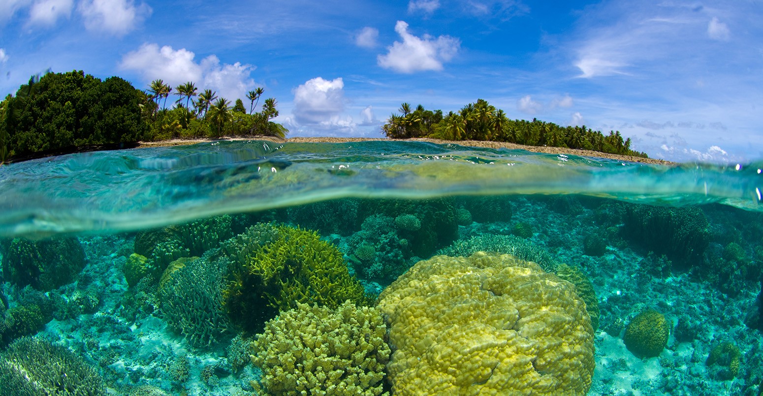 Coral reef over/under the Marshall Islands