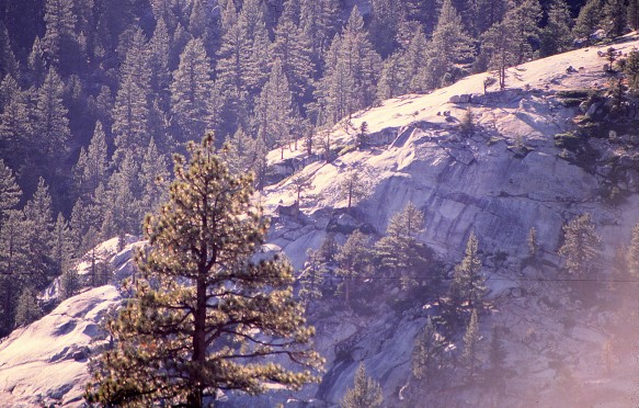 Yosemite national park in 1989