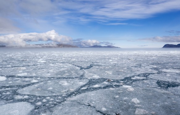 Arctic sea ice in Greenland