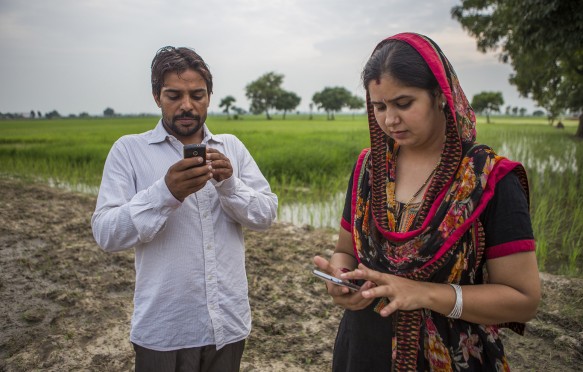 作为印度卡纳尔适应性项目的一部分，农民可以通过手机获得气候智能做法的最新信息