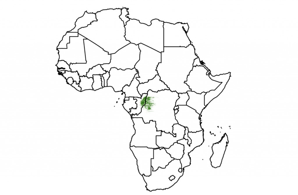 Location of the Cuvette Centrale wetlands in Africa