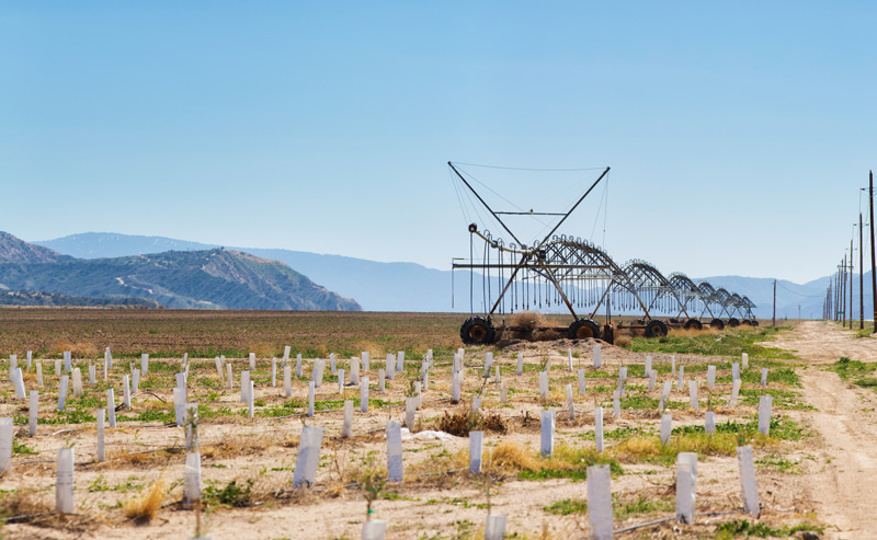 Agricultural wheeled irrigation sprinkling system in California Desert near a dirt road and a newly planted citrus grove. Credit: NicolasMcComber/iStock/Getty Images