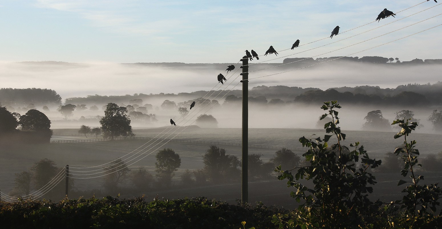 Birds sit on electricity pylons in the early morning mist in the North Yorkshire countryside in the United Kingdom.