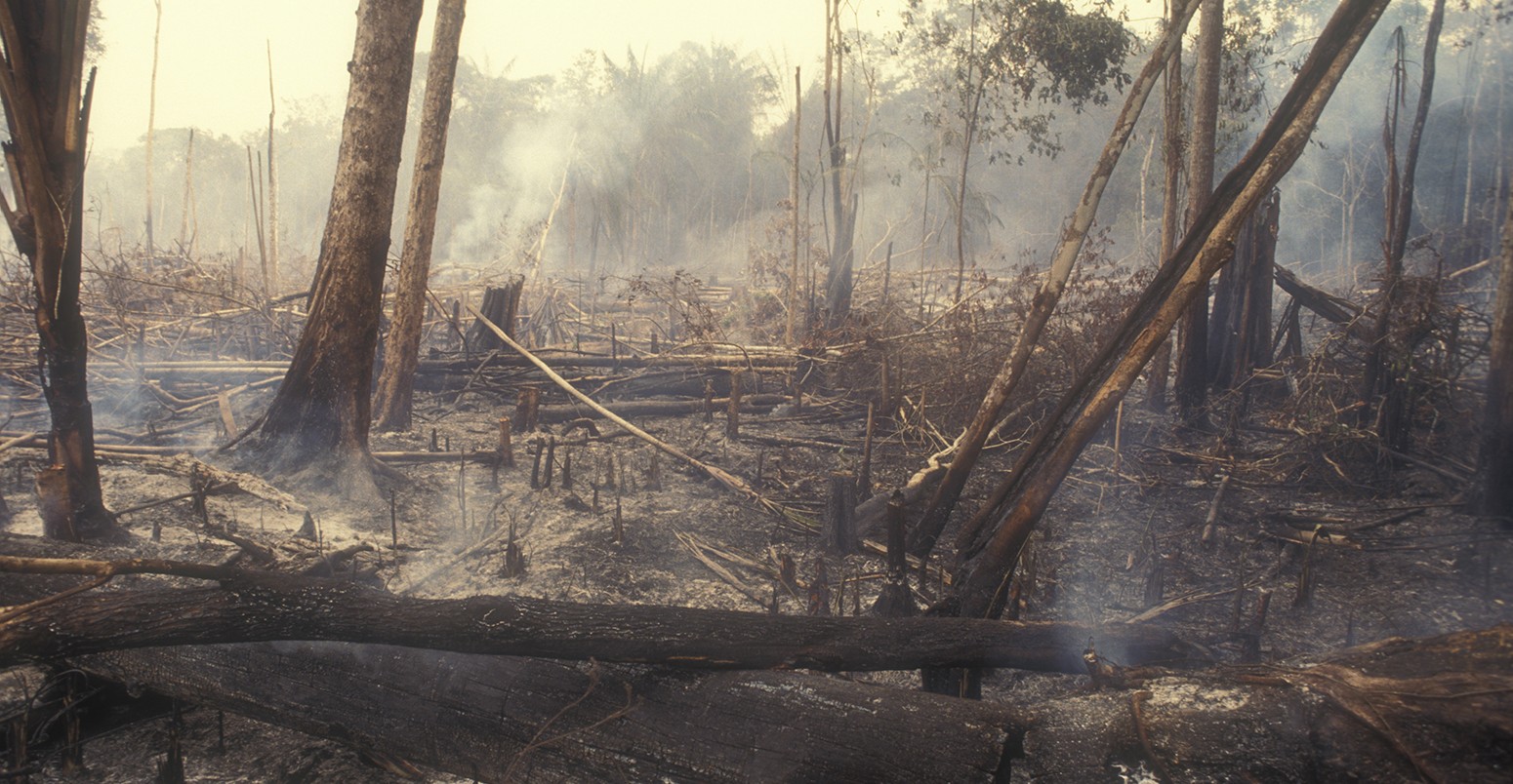 Slash and burn deforestation in the amazon rainforest. 60-70 percent of deforestation in the Amazon results from cattle ranches and soyabeans cultivation while the rest mostly results from small-scale subsistence agriculture.