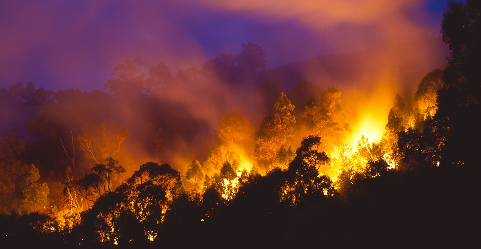 Bushfire near Newcastle, New South Wales, Australia