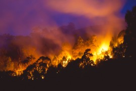 Bushfire near Newcastle, New South Wales, Australia