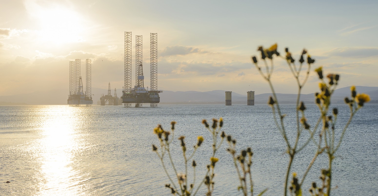 North Sea oil platforms, shot from the shore, moored in Cromarty Firth, Scotland. Defocused wild flowers in the foreground, growing on the shore