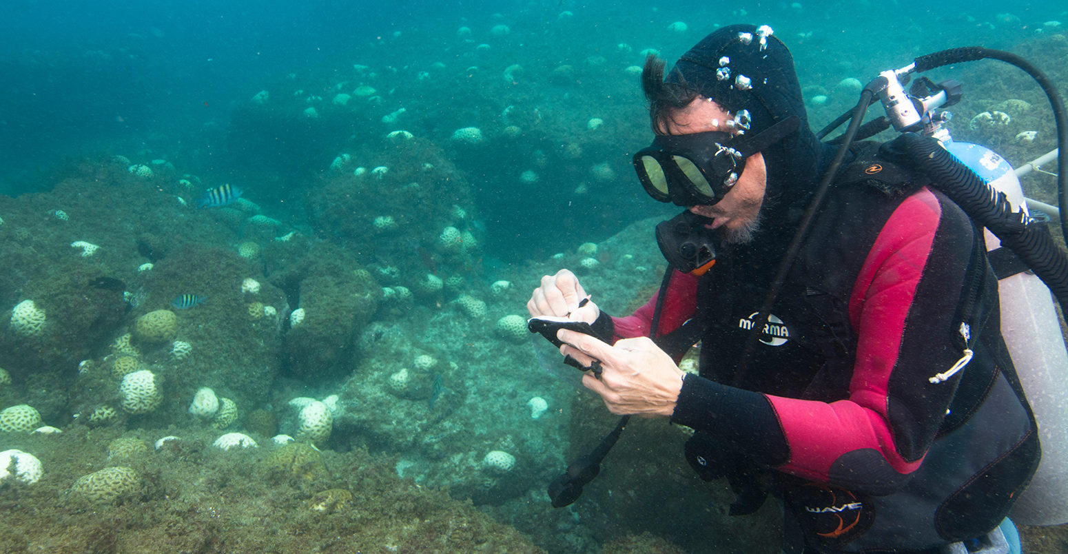 F560N5 scientific diver taking notes during coral bleaching event at Alcatrazes island, Sao Paulo state shore, Brazil.