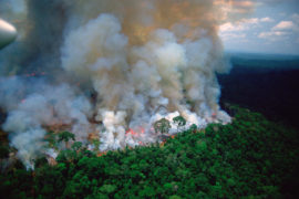 Amazon rain forest afire. Credit: Stock Connection Blue / Alamy Stock Photo BNX7RP