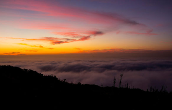 日落时分，信号山出现浓雾。信贷：布拉德利·范德韦斯特惠岑/阿拉米股票照片EE1J4C