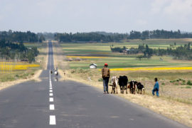 Road receding into the distance from Addis Ababa to Shafartak bridge. Credit: Andrew Holt / Alamy Stock Photo AAFNYD