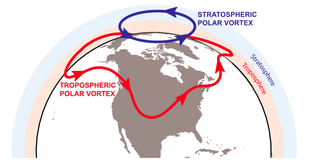 插图的平流层(蓝色)和对流层spheric (red) polar vortices. Source: Waugh et al. (2017). © American Meteorological Society. Used with permission.