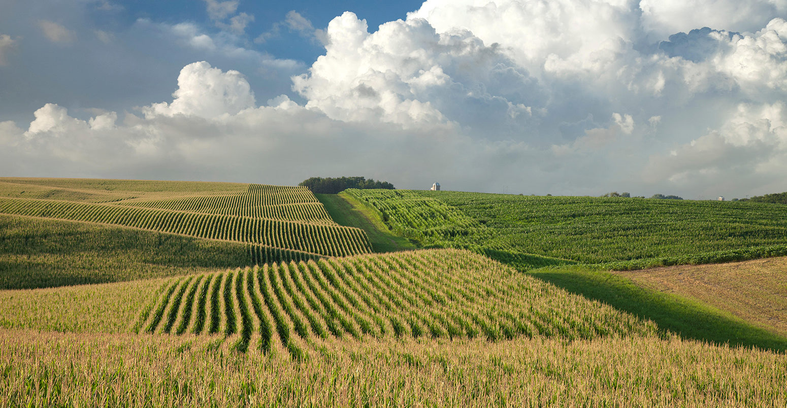 Corn and soybean fields in Minnesota. Credit: Daniel Thornberg / Alamy Stock Photo K25MCB