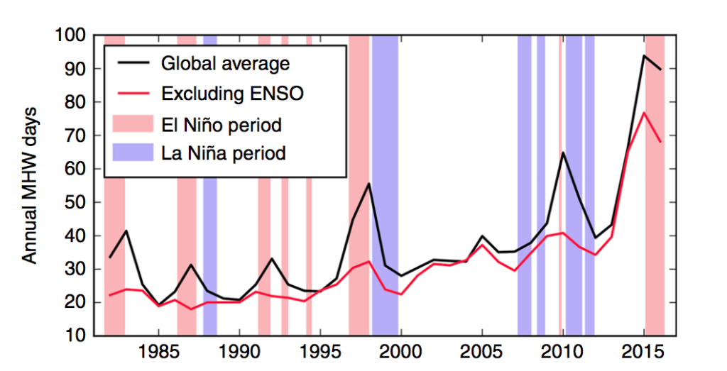 Chart shows globally averaged timeseries of total marine heatwave (MHW) days over 1982–2016 (black line) and the same metric with the influence of ENSO removed (red). The light red and blue shading indicate El Niño and La Niña periods, respectively.
