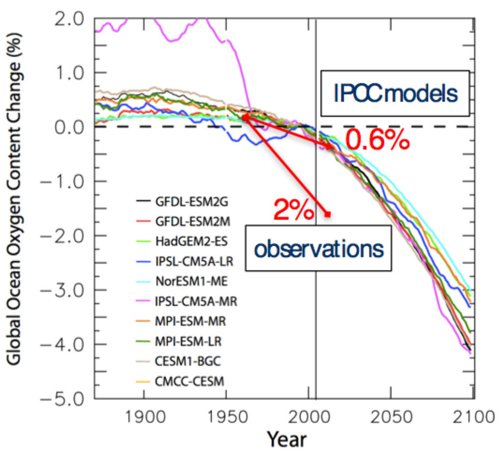 Simulated evolution of the models of the fifth assessment report of the IPCC with an average 0.6% decline during the 50-year period 1960-2010 (after Bopp et al., 2013). The observational estimate for the period by Schmidtko et al. (2017) amounts to 2%.