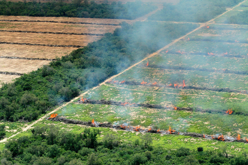 Deforestation in the Gran Chaco near Mariscal Estigarribia, Paraguay. Credit: Michael Edwards / Alamy Stock Photo C3A6AT
