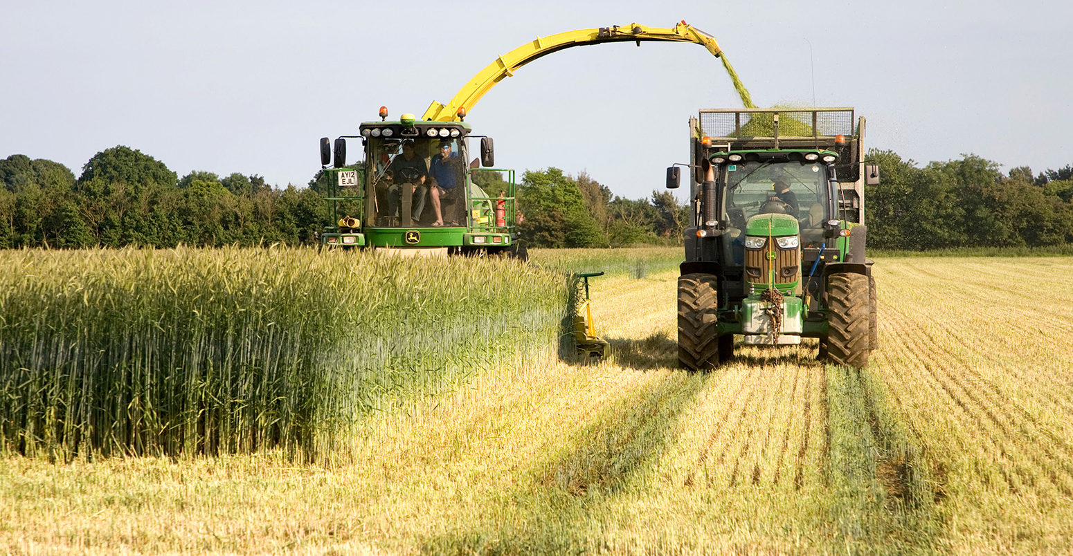 Harvesting rye crop for use as fuel for electricity generation, Shottisham, Suffolk, England. Credit: geogphotos / Alamy Stock Photo. D9TARB