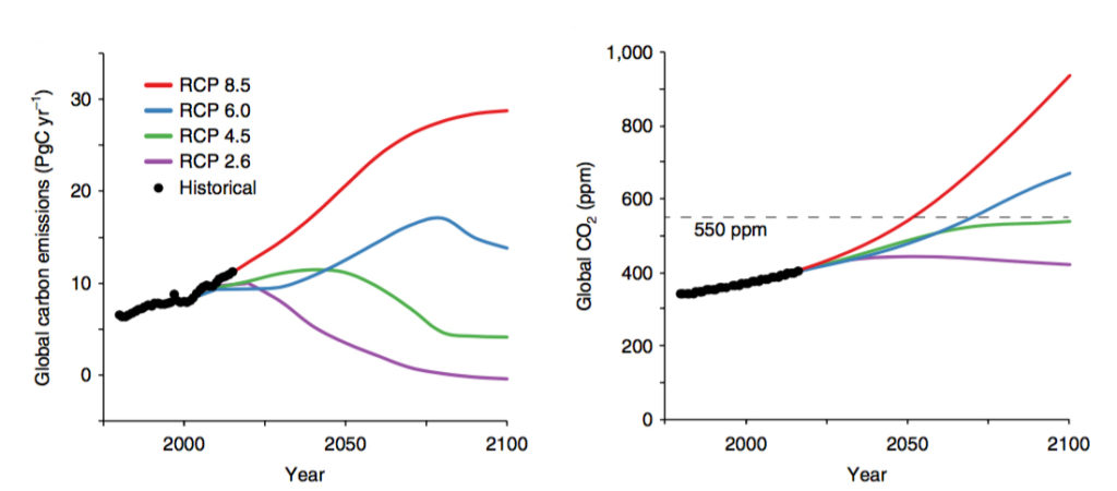左:全球碳排放s (black) and projected emissions under RCP2.6 (purple), RCP4.5 (green), RCP6.0 (blue) and RCP8.5 (red) from 1980-2100. Right: Global CO2 ppm from 1980-2100, with dashed line indicating point at reach concentrations reach 550ppm.