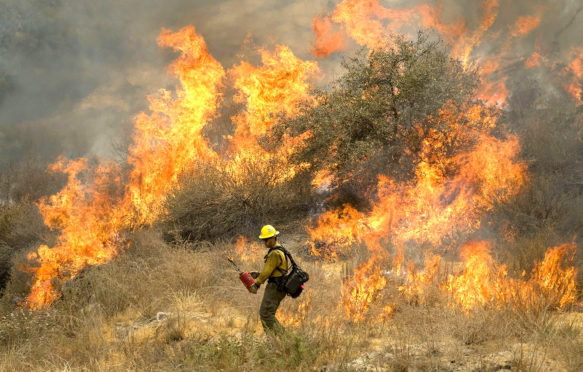 消防人员与2018年8月10日在加利福尼亚州洛杉矶克利夫兰国家森林中燃烧的圣火燃烧。Zuma Press，Inc。 / Alamy股票照片。PDXJ0A