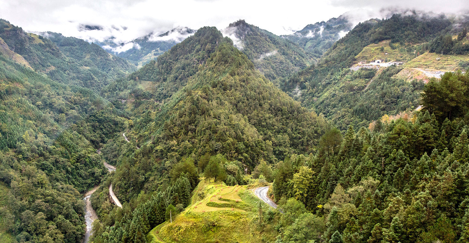 Forested hills of Guizhou, China. Credit: Charles O. Cecil / Alamy Stock Photo. J2N3RM