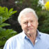 大卫•欧蒙德爵士Attenborough, English broadcaster and naturalist. Credit: Jeff Gilbert / Alamy Stock Photo. FDW7WY