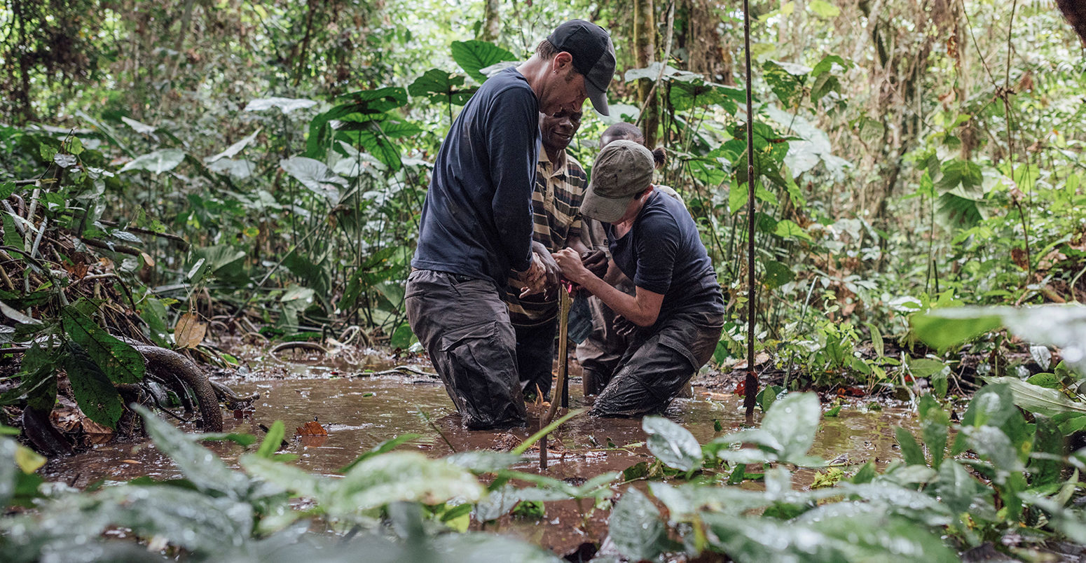 Extracting a sample from the Congo basin peatland.