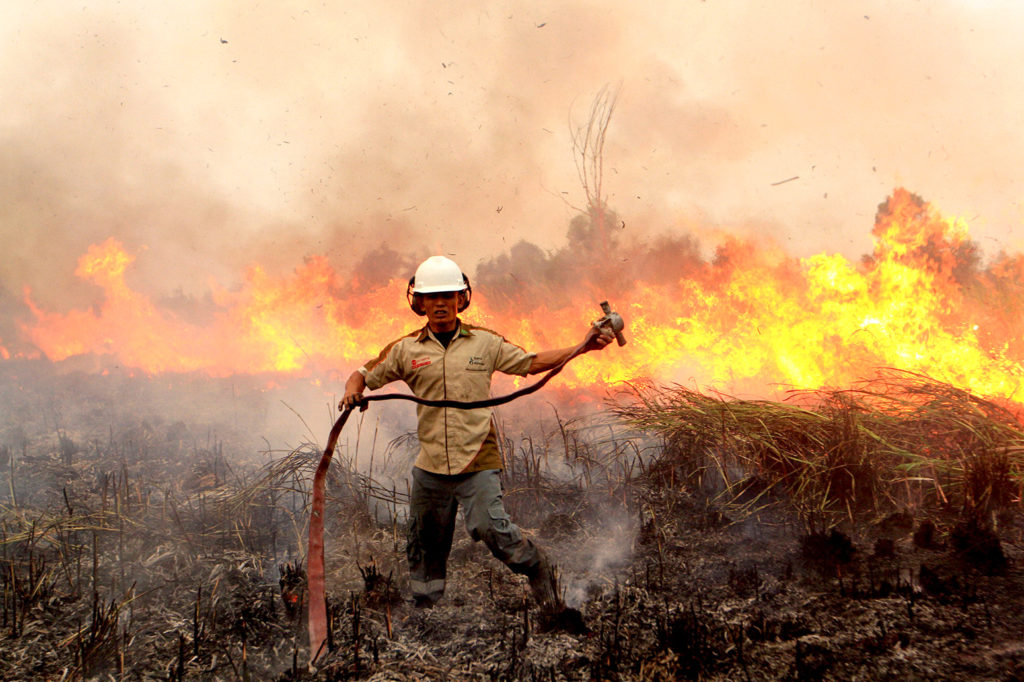 A soldier tries to extinguish a peatland fire in South Sumatra, Indonesia, 12 September 2015. Credit: Xinhua / Alamy Stock Photo. F26MJR