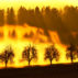 太阳光线通过瑞士卡佩尔的一排树木过滤。图片来源：图像经纪 / Alamy Stock Photo。fjbxtk