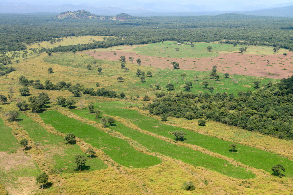 Deforestation near Gambela, Ethiopia. Credit: Joerg Boethling / Alamy Stock Photo. KW100J