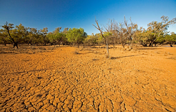 澳大利亚昆士兰州科拉维尼亚国家公园的干旱。来源：澳大利亚内陆/阿拉米股票照片。F550K1