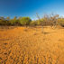 澳大利亚昆士兰州库拉维尼亚国家公园的干旱。学分：内陆澳大利亚 / Alamy Stock Photo.F550K1