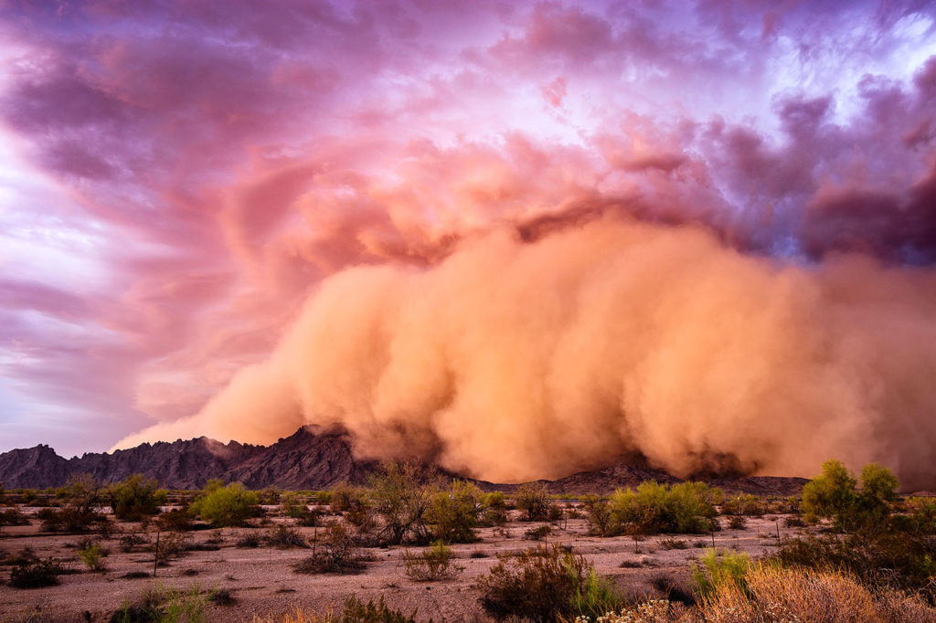 A Haboob dust storm rolls over the Mohawk Mountains near Tacna, Arizona, 9 July 2018. Credit: John Sirlin / Alamy Stock Photo. T0TRCA
