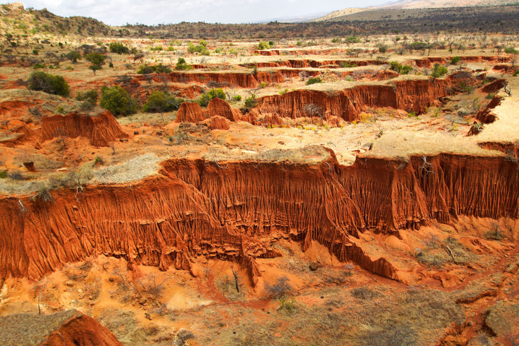 Soil erosion in Kenya. Credit: Martin Harvey / Alamy Stock Photo. C5G624