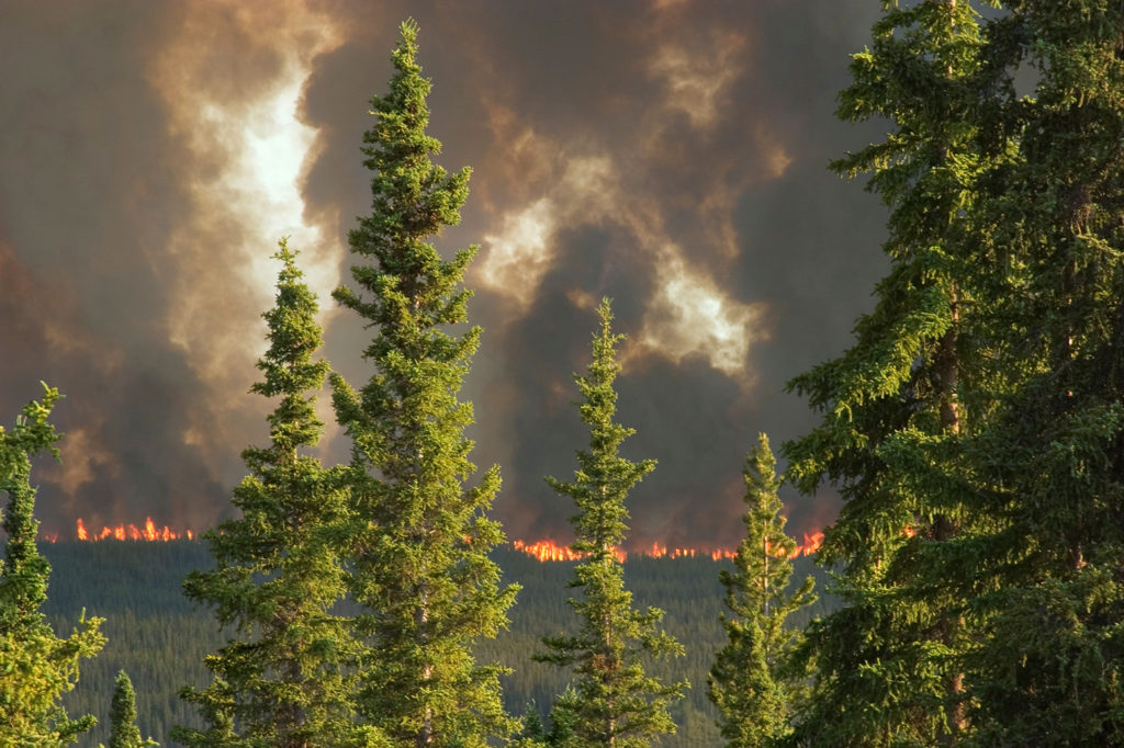 Forest fire in Yukon Territory, Canada. Credit: Design Pics Inc / Alamy Stock Photo. BCJP67